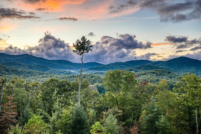 view of mountain feature