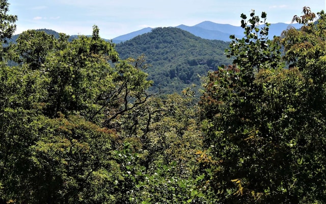 B W Cherry Rd, Hayesville NC, 28904 land for sale