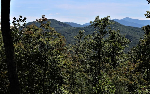 Listing photo 3 for B W Cherry Rd, Hayesville NC 28904