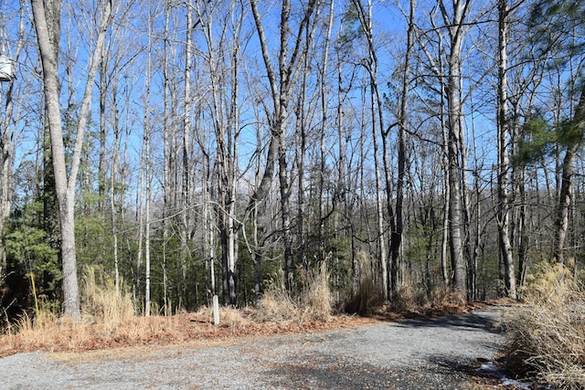 Listing photo 2 for LT3421 Hart Ct, Ellijay GA 30540