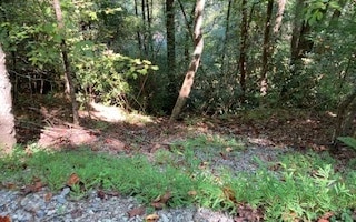 00 Fugue Dr, Ellijay GA, 30540 land for sale