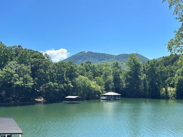 water view with a mountain view