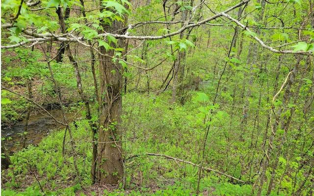 Listing photo 3 for LOT27 Oak Ridge Way, Ellijay GA 30536