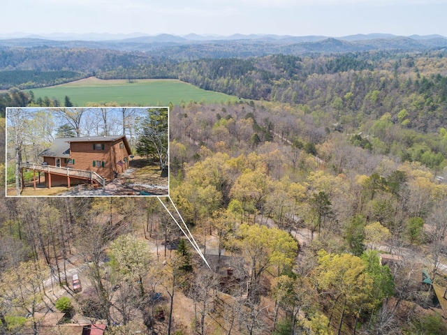 1595 Country Walk, Murphy, NC 28906 - view of subject property featuring a heavily wooded area, property parcel outlined, and a mountainous background