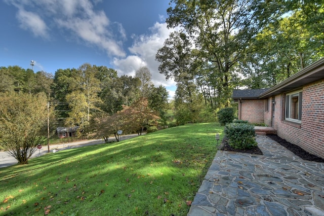 view of yard featuring a patio area