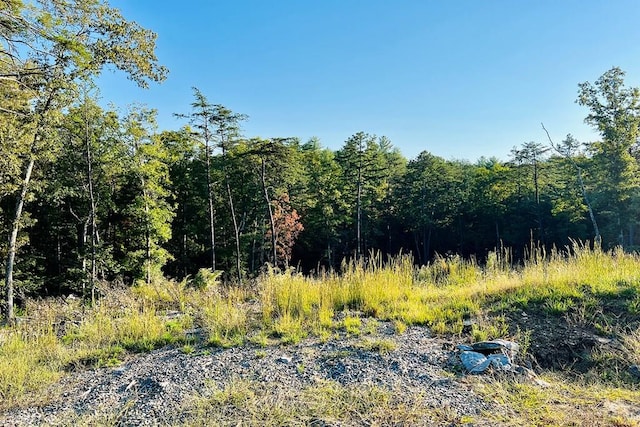 LOT.10 Mountain Laurel Rdg, Mineral Bluff, GA 30559