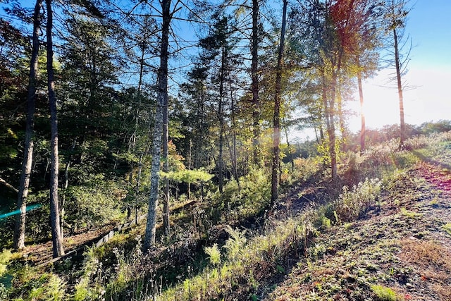 LOT.10 Mountain Laurel Rdg, Mineral Bluff, GA 30559