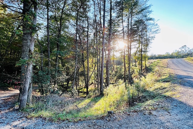 LOT.10 Mountain Laurel Rdg, Mineral Bluff, GA 30559