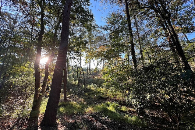 LOT.10 Mountain Laurel Rdg, Mineral Bluff, GA 30559