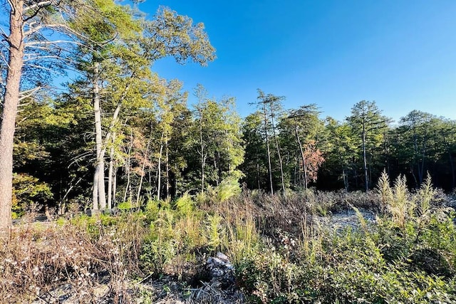 LOT.10 Mountain Laurel Rdg, Mineral Bluff, GA 30559