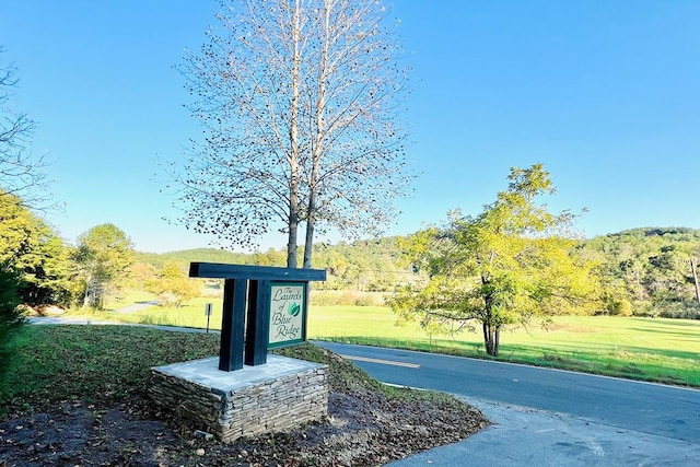 LOT.10 Mountain Laurel Rdg, Mineral Bluff, GA 30559