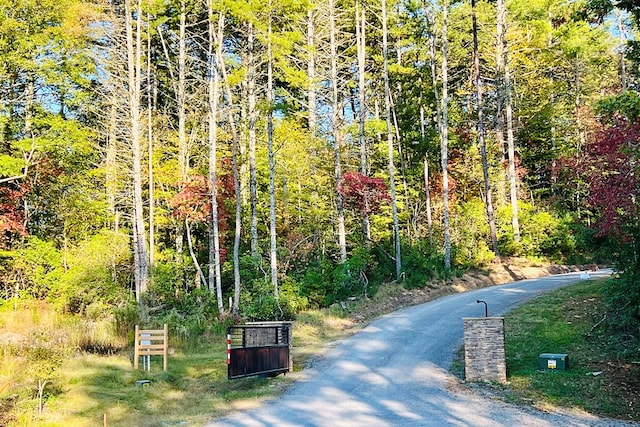LOT.10 Mountain Laurel Rdg, Mineral Bluff, GA 30559