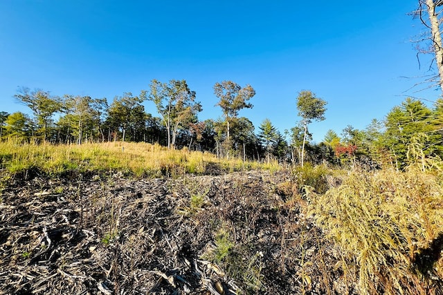 LOT.10 Mountain Laurel Rdg, Mineral Bluff, GA 30559