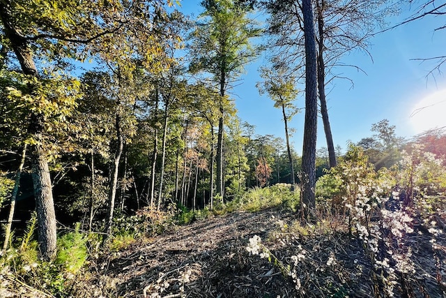 LOT.10 Mountain Laurel Rdg, Mineral Bluff, GA 30559