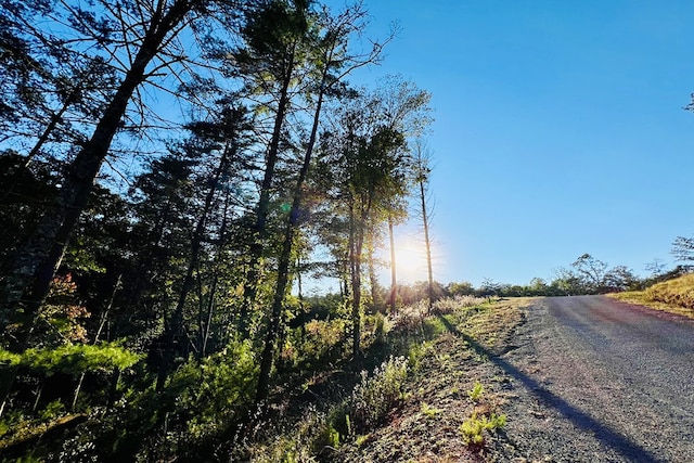 LOT.10 Mountain Laurel Rdg, Mineral Bluff, GA 30559