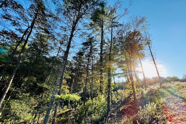 LOT.10 Mountain Laurel Rdg, Mineral Bluff, GA 30559