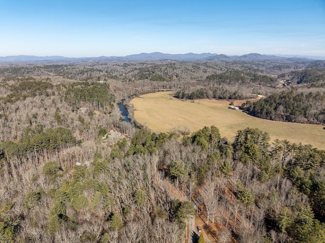 birds eye view of property with a mountain view