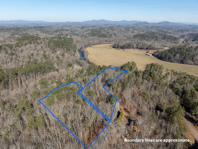 bird's eye view featuring a mountain view