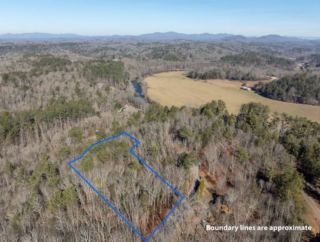 bird's eye view with a mountain view