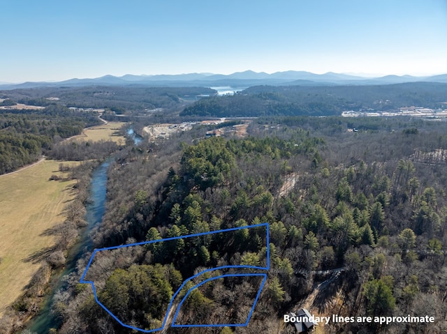 birds eye view of property with a mountain view