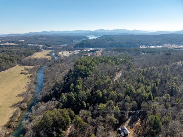 drone / aerial view featuring a mountain view