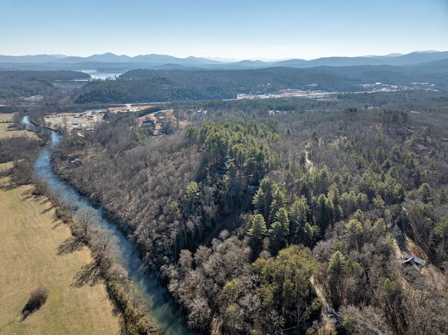 aerial view with a mountain view