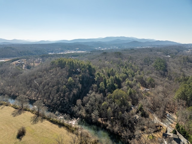 aerial view with a mountain view