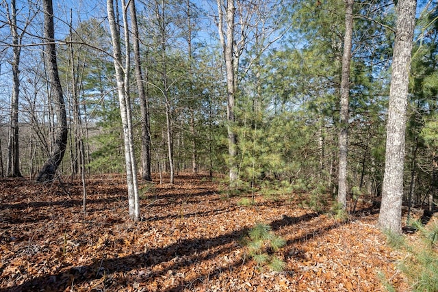 view of landscape