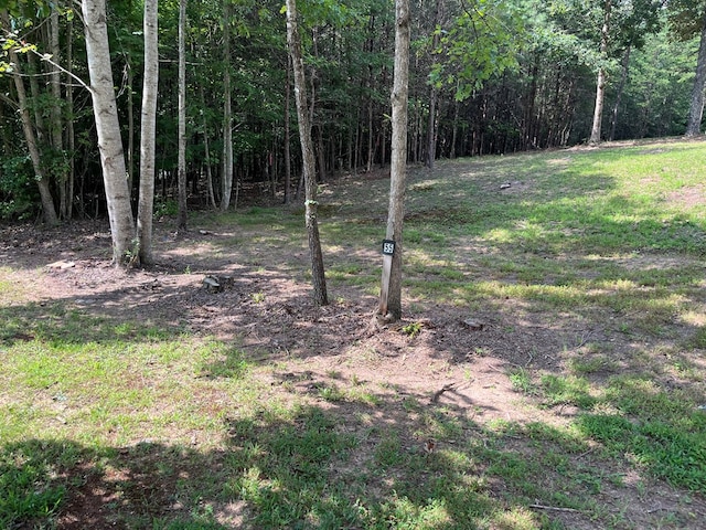 Listing photo 3 for LOT55 Ray Dr, Young Harris GA 30582