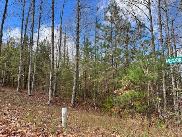 Listing photo 3 for LOT41 Meadow Brooke Dr, Young Harris GA 30582