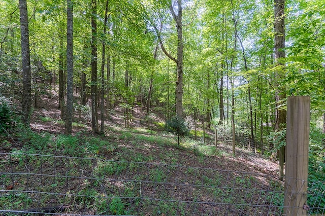 view of local wilderness with a view of trees