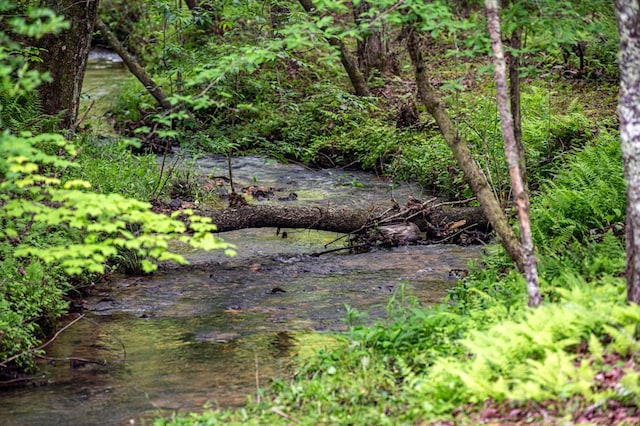 400 Creekside Dr, Mccaysville, GA 30555 - view of local wilderness