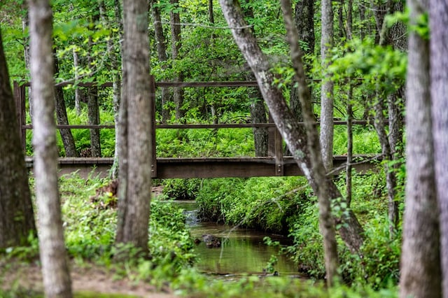 400 Creekside Dr, Mccaysville, GA 30555 - view of local wilderness