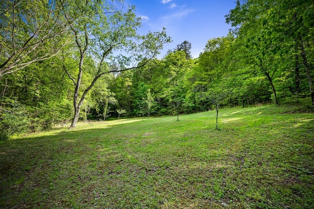 400 Creekside Dr, Mccaysville, GA 30555 - view of grassy yard with a forest view