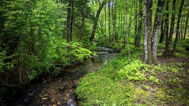 400 Creekside Dr, Mccaysville, GA 30555 - view of undeveloped land