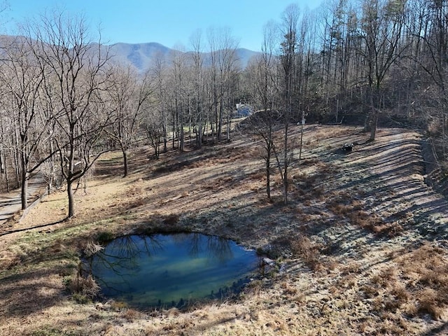 462 Eagle Fork Ter, Hayesville NC, 28904 land for sale