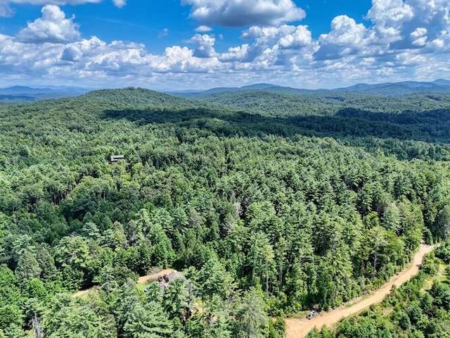 1394 Camp Creek Rd, Murphy, NC 28906 - mountain view featuring a forest