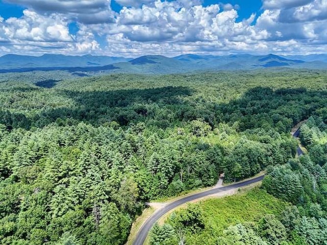 1394 Camp Creek Rd, Murphy, NC 28906 - aerial view of a forest and a mountain backdrop