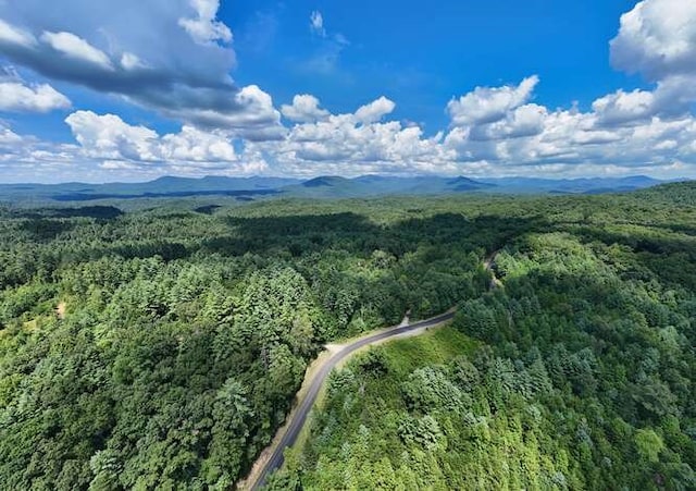 1394 Camp Creek Rd, Murphy, NC 28906 - drone / aerial view of a forest and a mountainous background