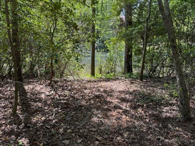 Listing photo 2 for 0.34AC Shallowford Brg, Blue Ridge GA 30513