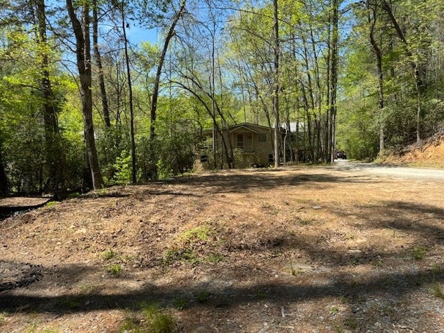 Listing photo 3 for 0.34AC Shallowford Brg, Blue Ridge GA 30513