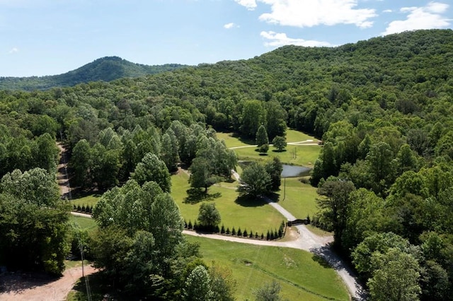910 Sawyer Cove Rd, Hayesville, NC 28904 - bird's eye view of a heavily wooded area and mountains