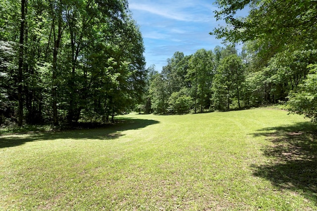 910 Sawyer Cove Rd, Hayesville, NC 28904 - view of grassy yard