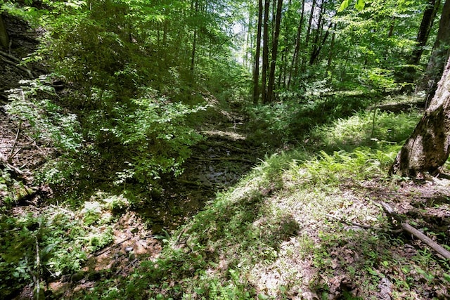 910 Sawyer Cove Rd, Hayesville, NC 28904 - view of woods