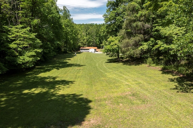 910 Sawyer Cove Rd, Hayesville, NC 28904 - view of grassy yard with a forest view