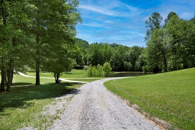 910 Sawyer Cove Rd, Hayesville, NC 28904 - view of dirt / gravel road with a water view and a forest view