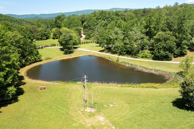 910 Sawyer Cove Rd, Hayesville, NC 28904 - drone / aerial view of a nearby body of water