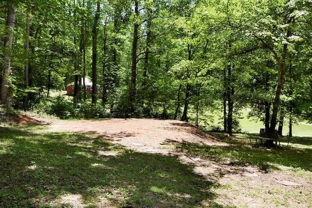910 Sawyer Cove Rd, Hayesville, NC 28904 - view of yard with a forest view