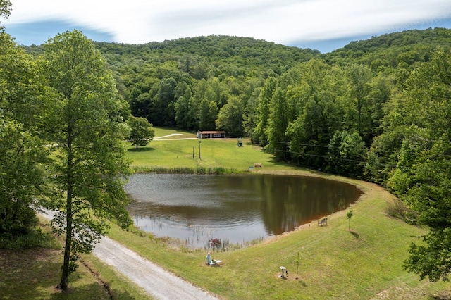 910 Sawyer Cove Rd, Hayesville, NC 28904 - water view with a forest