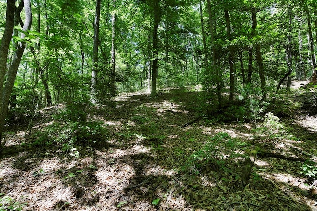 910 Sawyer Cove Rd, Hayesville, NC 28904 - view of woods